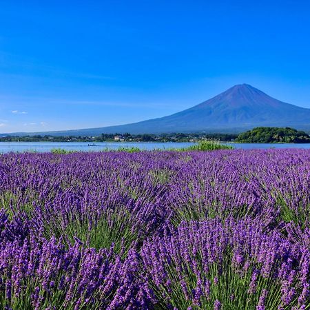 グランファーム富士河口湖 Granfarm Fujikawaguchiko酒店 外观 照片